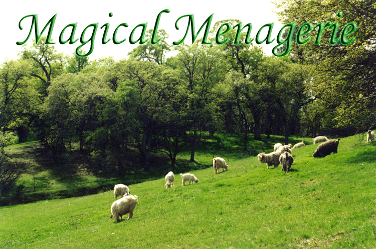 image&copy;Magical Menagerie, 2001